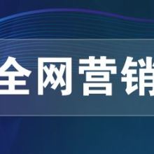 網絡推廣、網絡營銷與網絡技術服務 構建數字化時代的商業引擎